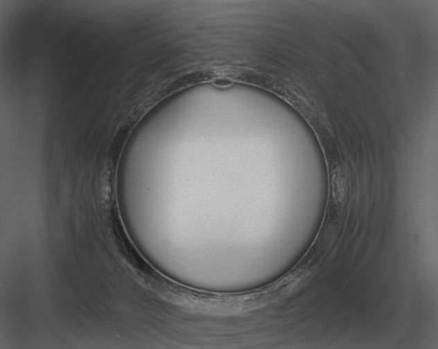 X0000083000032200702230138