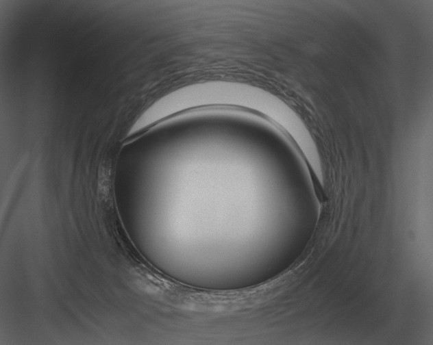 X0000083000033200702230138