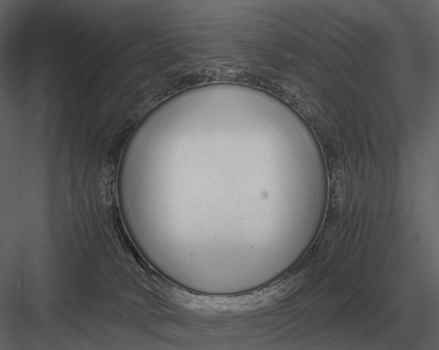 X0000083000034200702230138