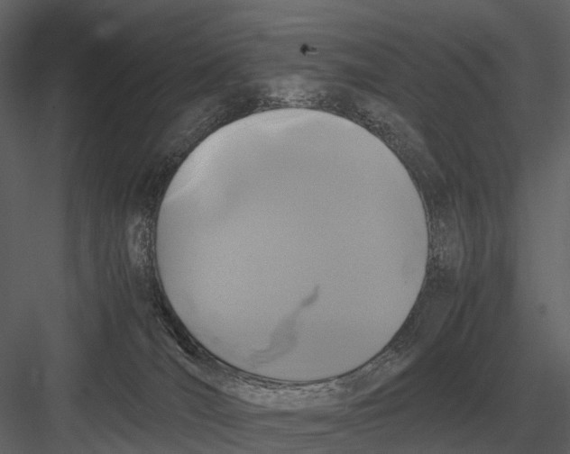 X0000083000036200702230138