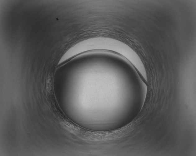 X0000083000037200702230138