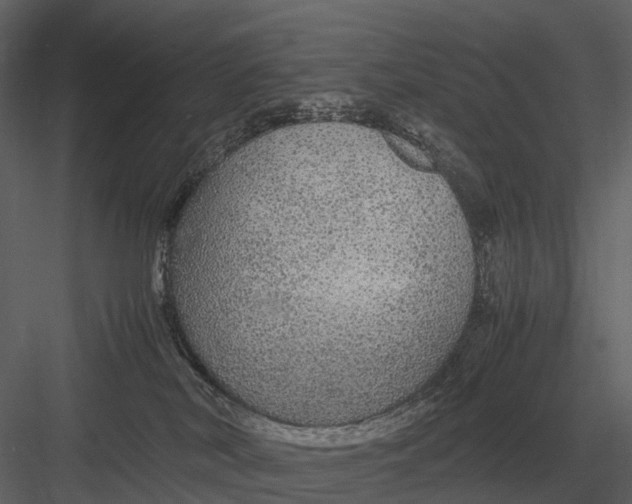 X0000083000038200702230138