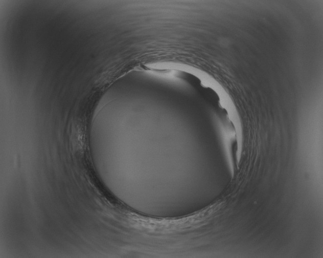 X0000083000039200702230138