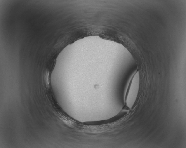 X0000083000041200702230138