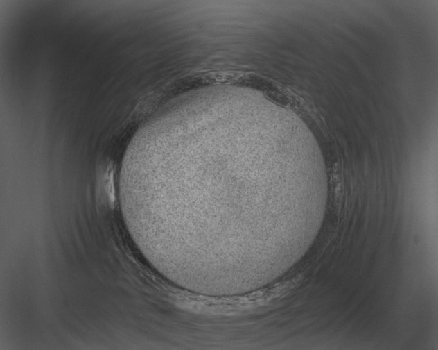 X0000083000042200702230138