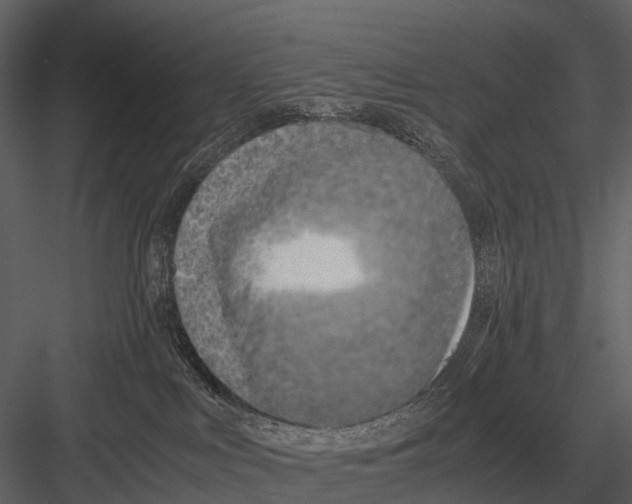 X0000083000043200702230138