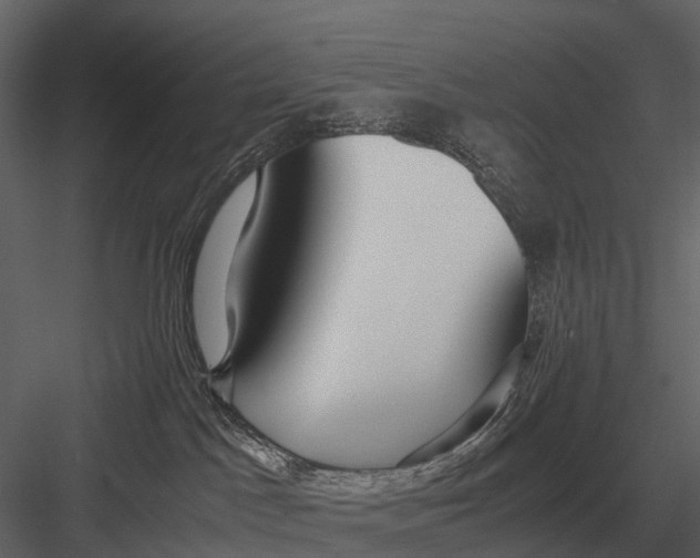 X0000083000045200702230138