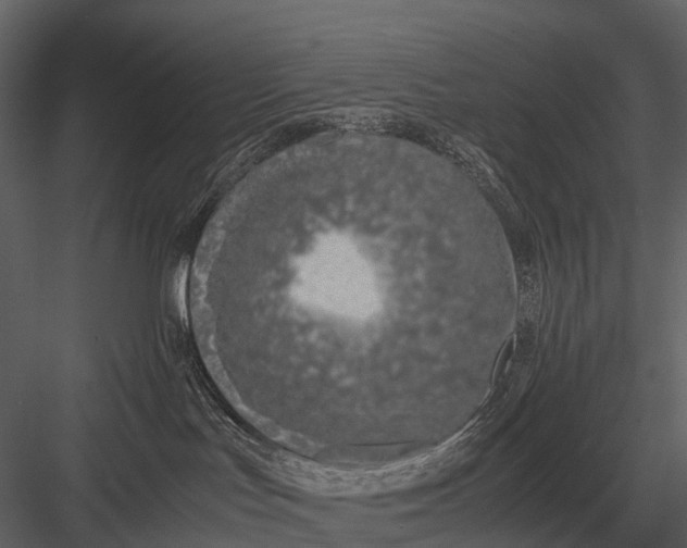 X0000083000047200702230138