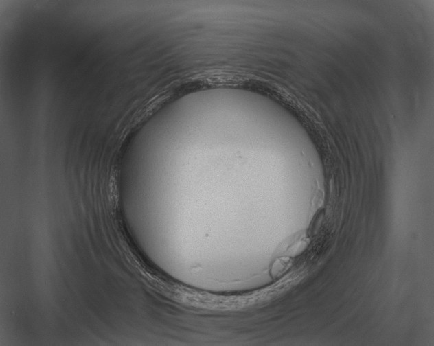 X0000083000048200702230138