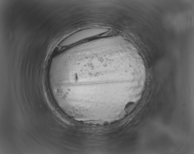 X0000083000049200702230137