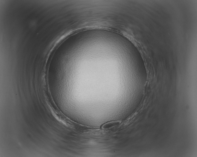 X0000083000050200702230137