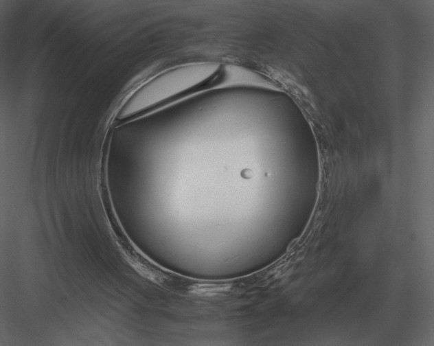 X0000083000051200702230137