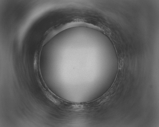 X0000083000052200702230137