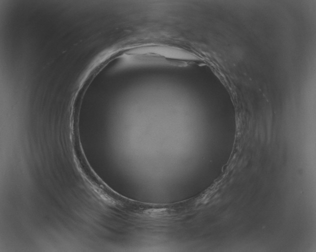 X0000083000054200702230137