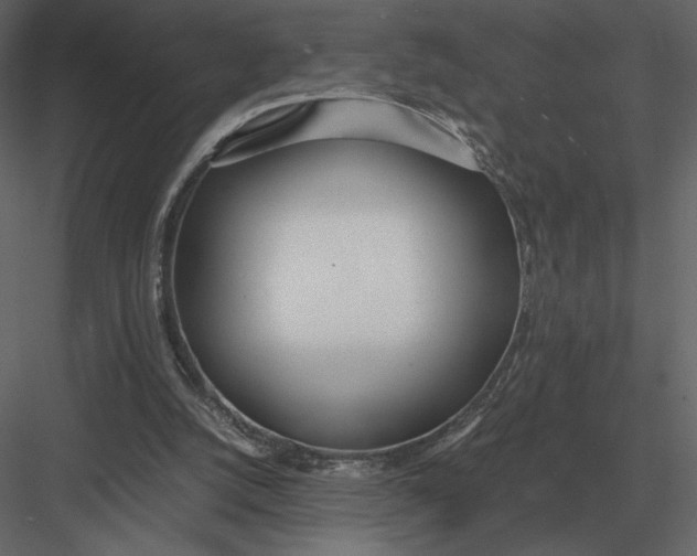 X0000083000056200702230137