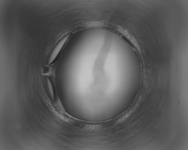 X0000083000057200702230137