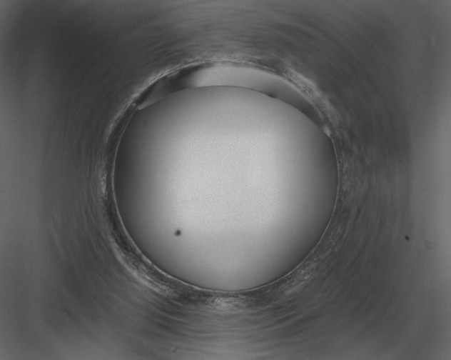 X0000083000060200702230137