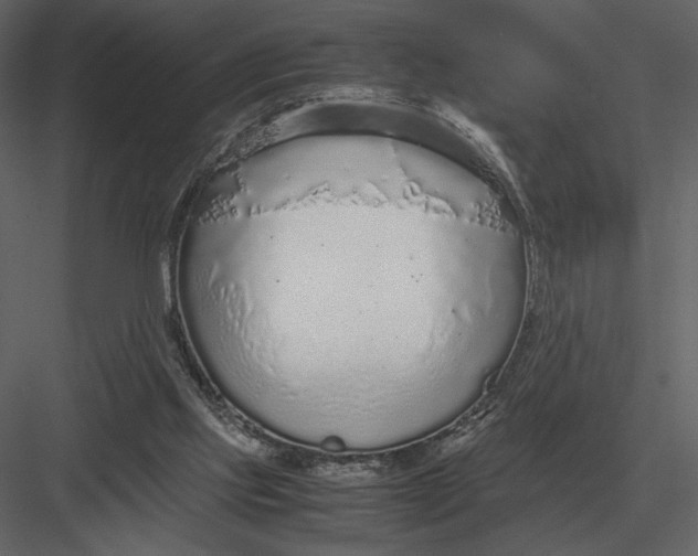 X0000083000061200702230137