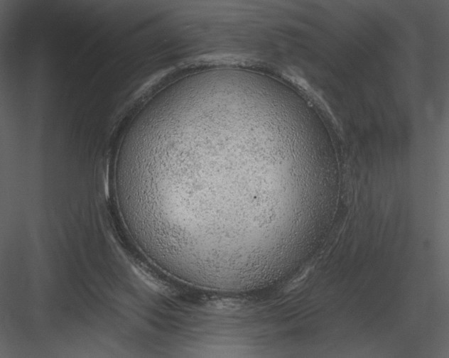 X0000083000062200702230137