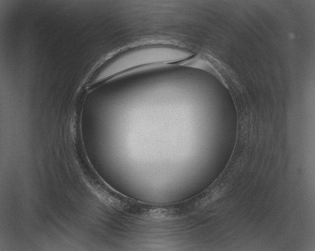 X0000083000064200702230137