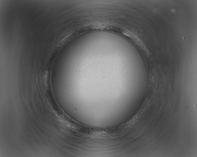 X0000083000066200702230137