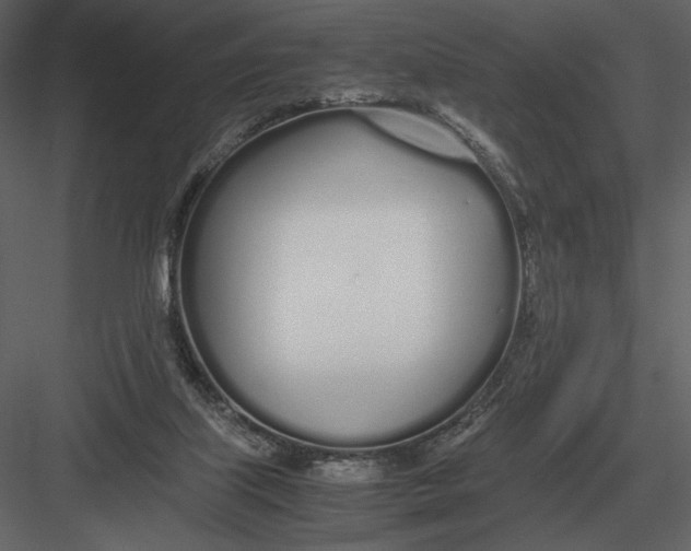 X0000083000067200702230138