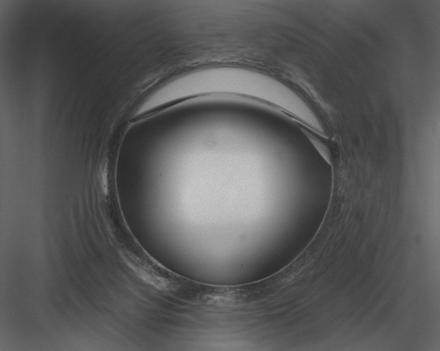 X0000083000068200702230138