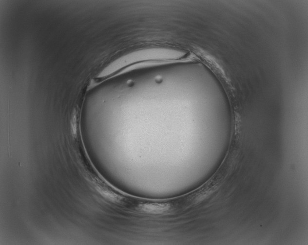 X0000083000069200702230138