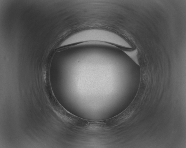 X0000083000072200702230138