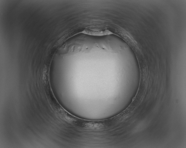 X0000083000073200702230138