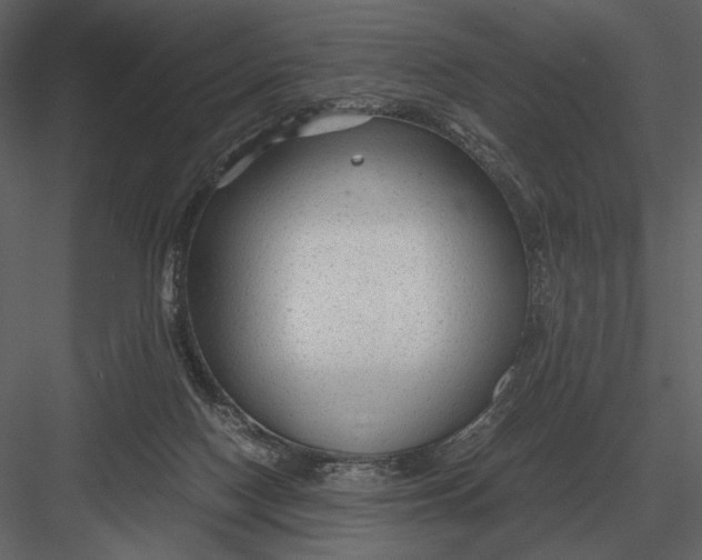 X0000083000074200702230138