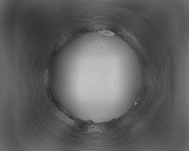 X0000083000077200702230138