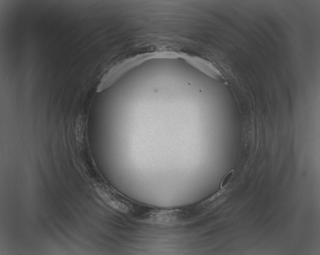 X0000083000078200702230138