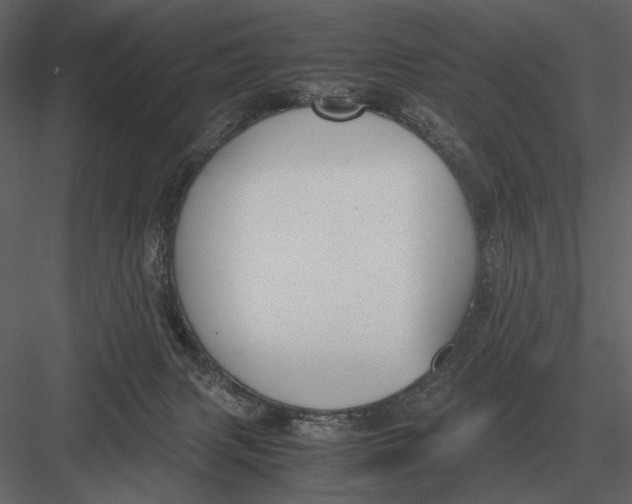 X0000083000079200702230138