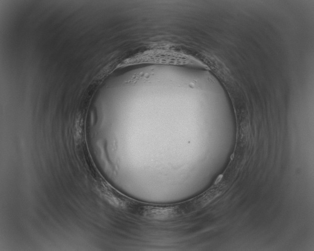 X0000083000081200702230138