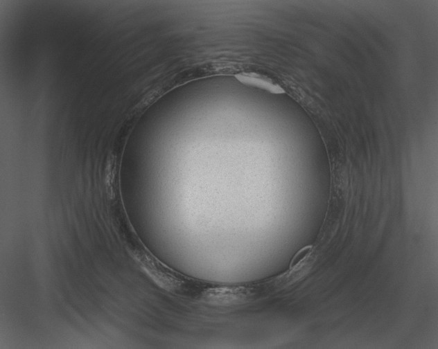 X0000083000082200702230138