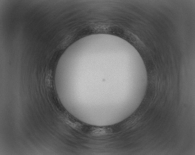 X0000083000083200702230138