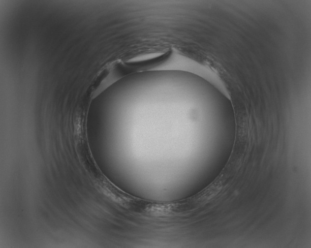 X0000083000084200702230138