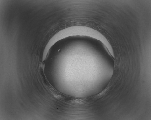 X0000083000086200702230138