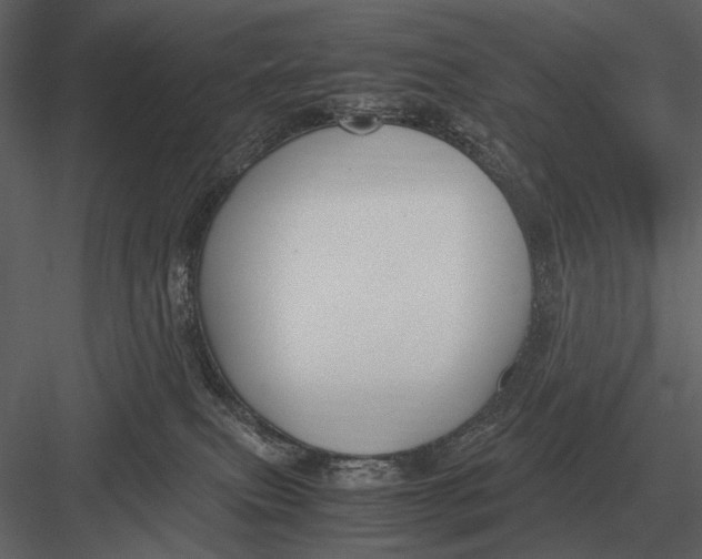 X0000083000087200702230138