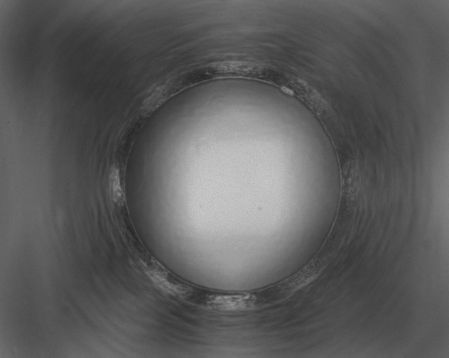 X0000083000089200702230138