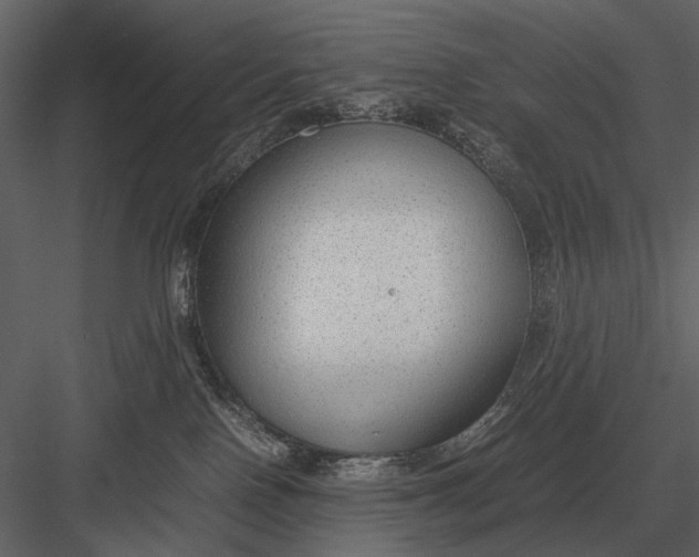 X0000083000090200702230138