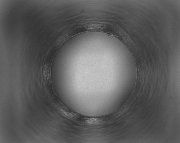 X0000083000091200702230138