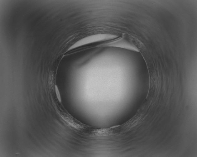 X0000083000092200702230138