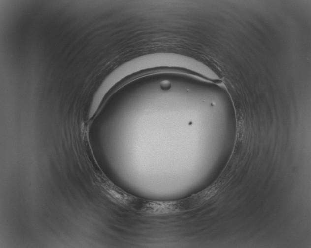 X0000083000093200702230138