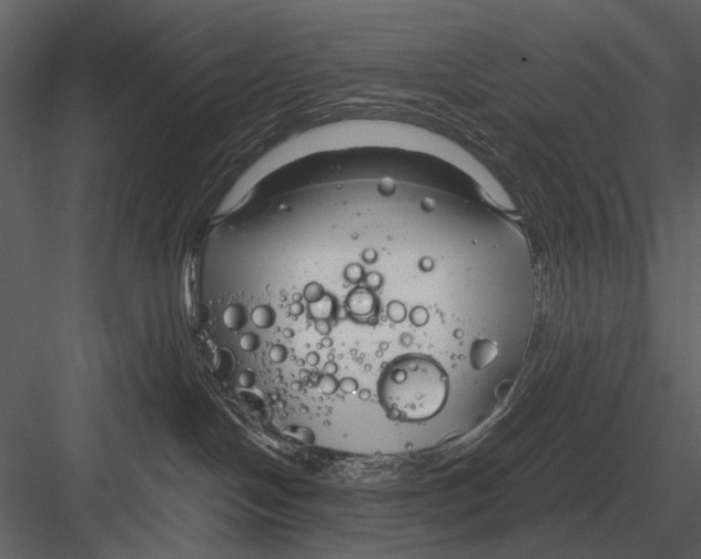 X0000083000094200702230138