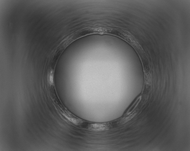 X0000083000095200702230138