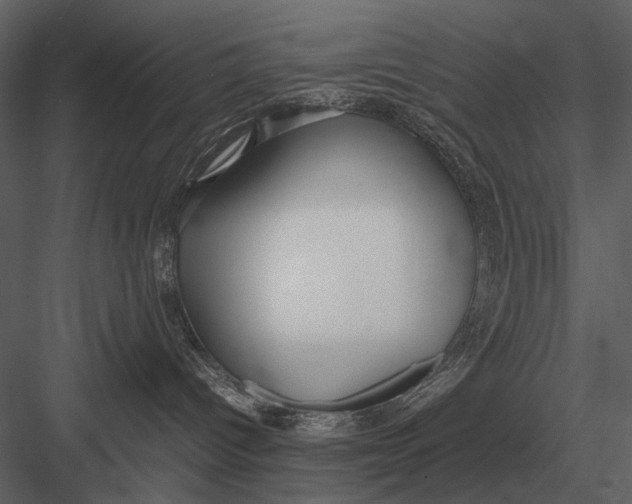 X0000083000096200702230138