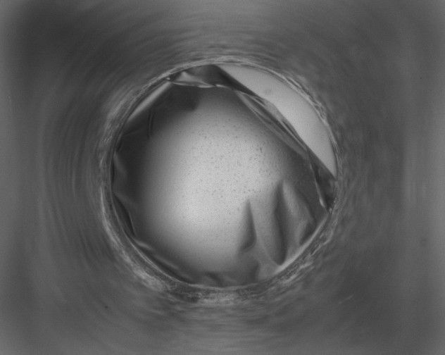 X0000083000097200702230137