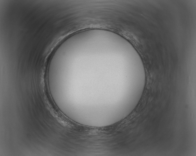 X0000083000098200702230137